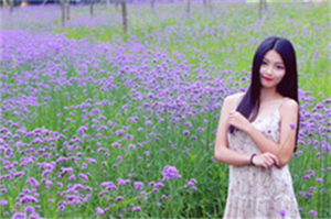 上海历史背景下的爱情故事